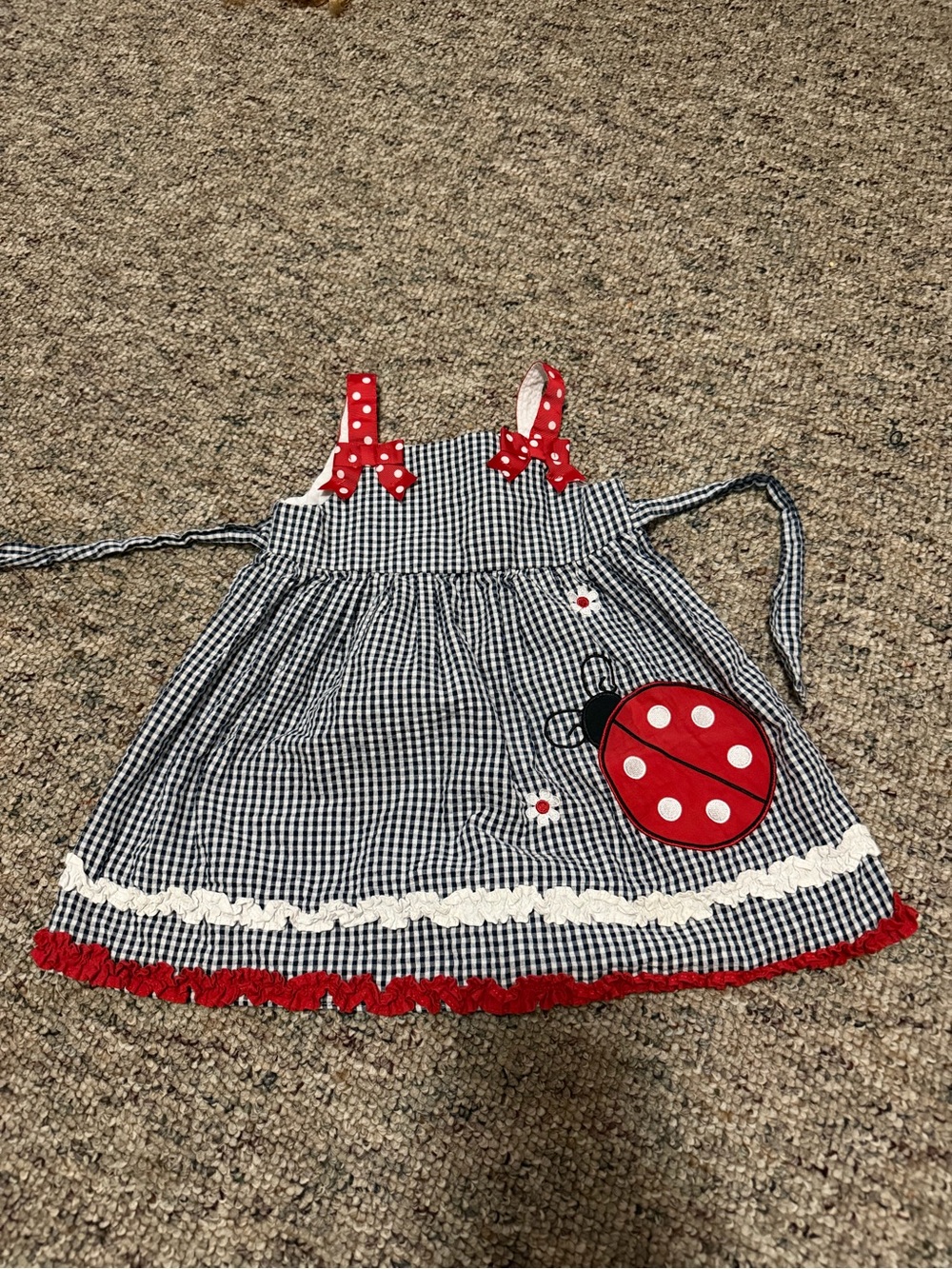 Emily Rose Navy Gingham Dress